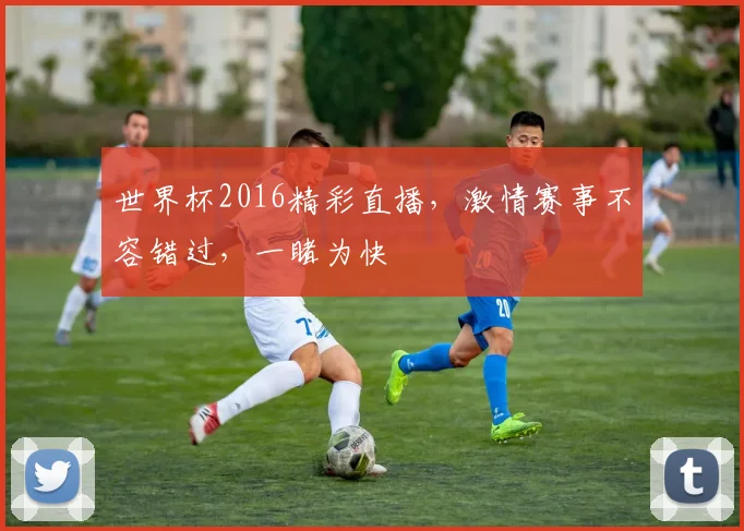 世界杯2016精彩直播，激情赛事不容错过，一睹为快