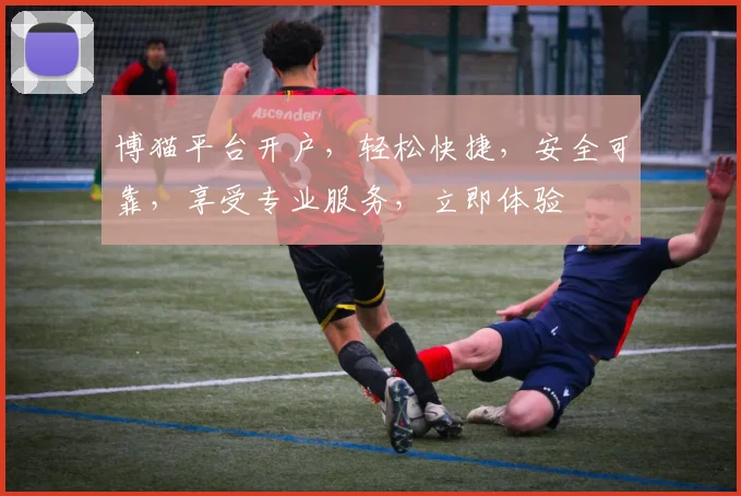 博猫平台开户，轻松快捷，安全可靠，享受专业服务，立即体验