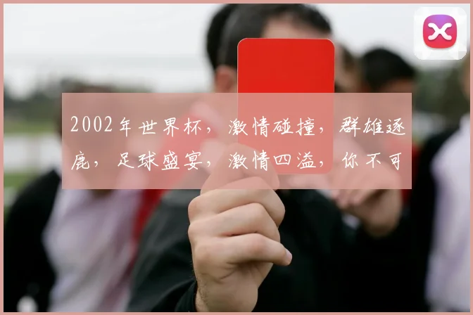 2002年世界杯，激情碰撞，群雄逐鹿，足球盛宴，激情四溢，你不可错过的视觉盛宴