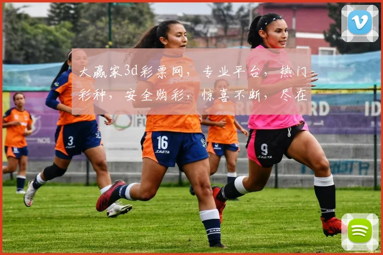 大赢家3d彩票网，专业平台，热门彩种，安全购彩，惊喜不断，尽在其中，体验非凡