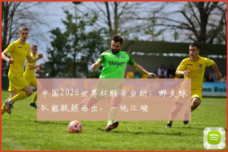 中国2026世界杯赔率分析，哪支球队能脱颖而出，一统江湖